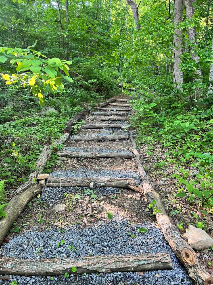 Wilderness Cove Campground - Photo 4