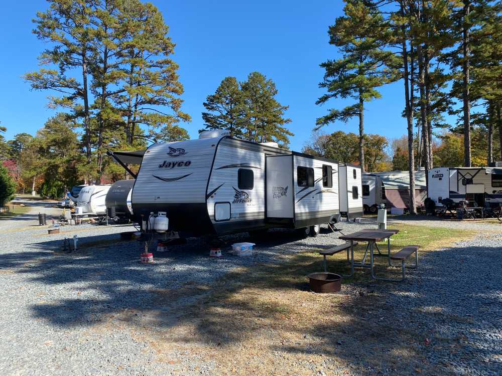 Zooland Family Campground, Asheboro, North Carolina - Photo 4
