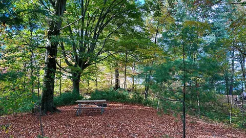 Bear's Trail / Tent Site / Walk-in Site / no power — image 1 of 3