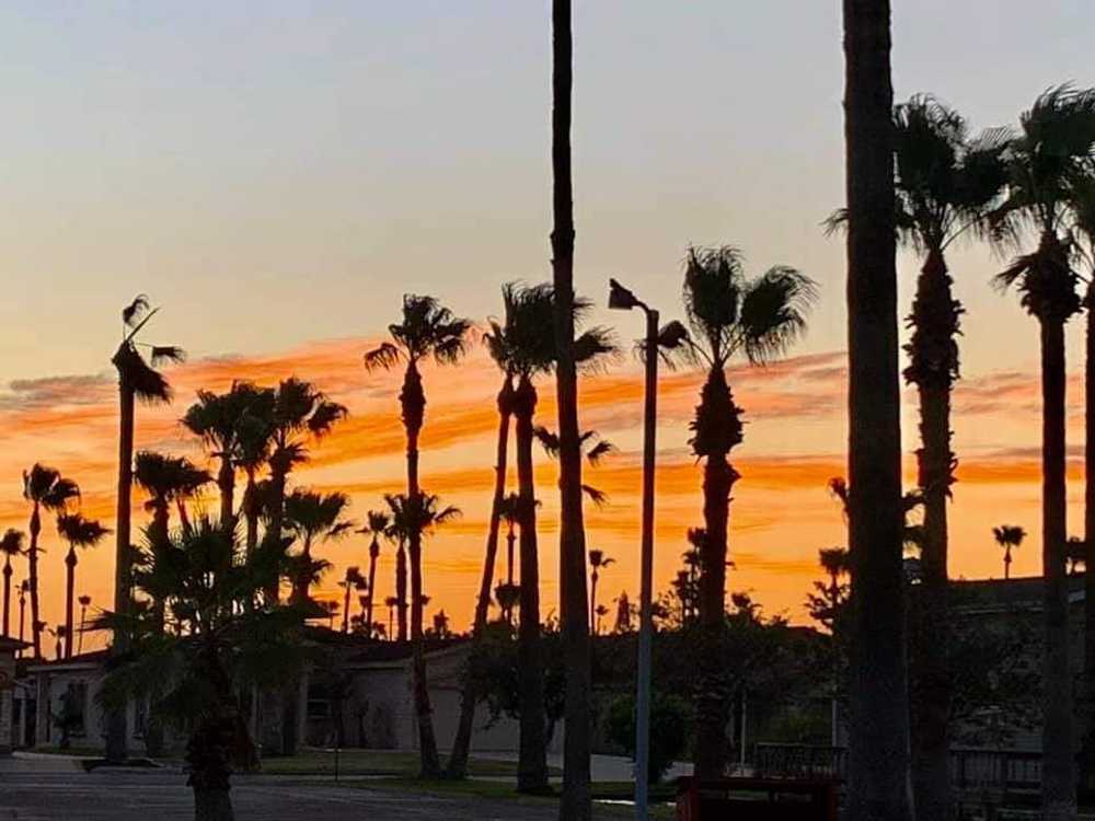 Winter Haven Resort, Brownsville, Texas (Age Restricted 55+) - Photo 4