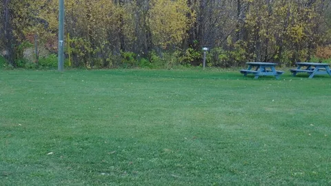 DELUXE NON POWER SITE - BALL DIAMONDS — image 1 of 3