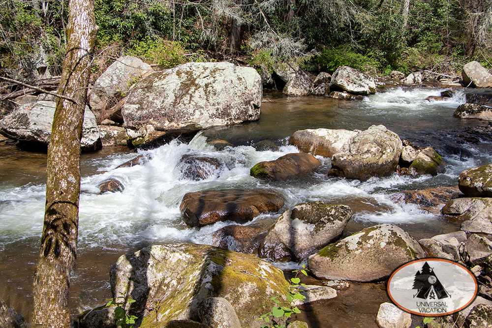 Doe River Landing, Roan Mountain, Tennessee - Photo 2
