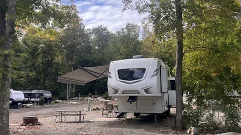 Classic Pull-Through RV Site — image 4 of 4