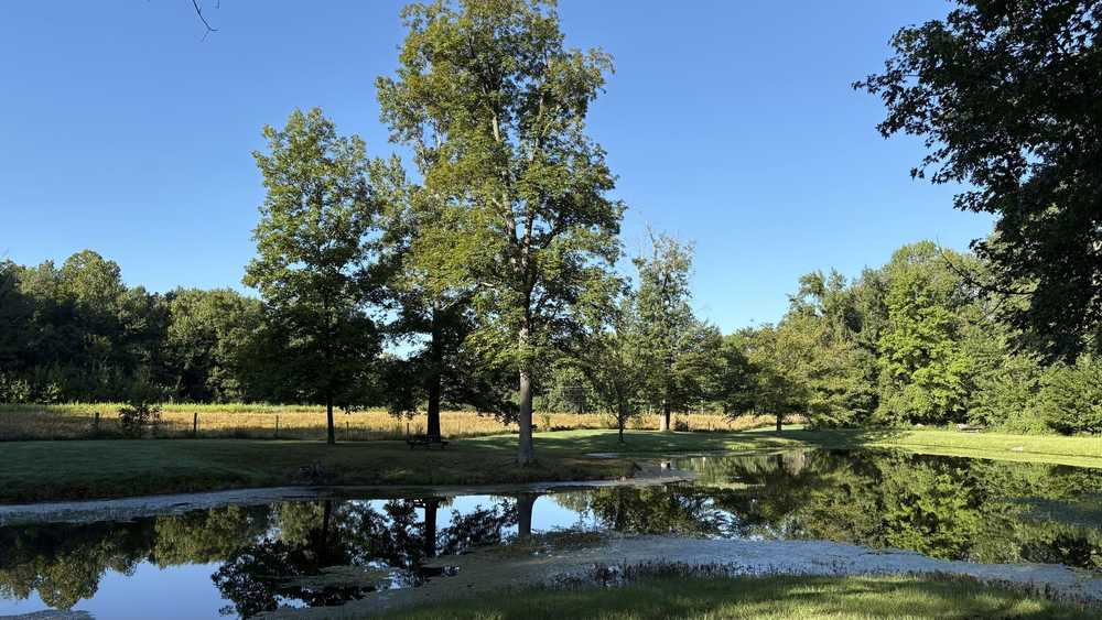 Park Image 5