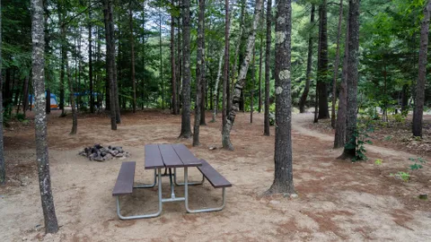 Wilderness Tent Site — image 5 of 5