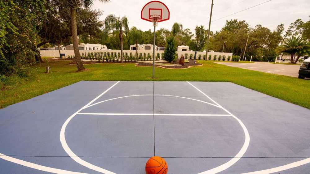 Kissimmee South (Age Restricted 55+) - Photo 5