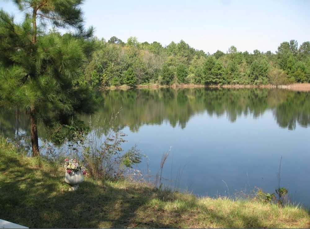 Park Image 11