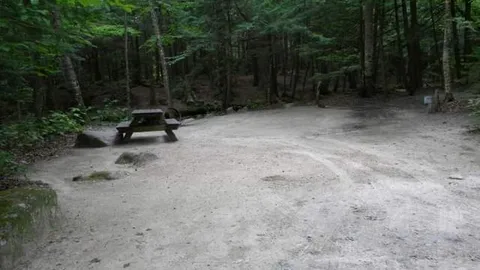 Tent- Wooded — image 1 of 4