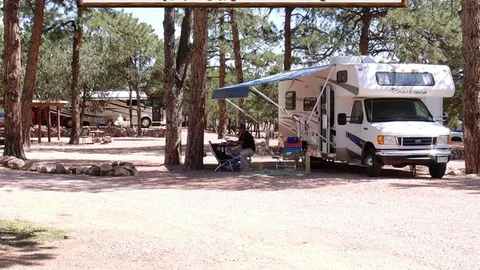 Standard Pull-Through RV Site — image 4 of 4