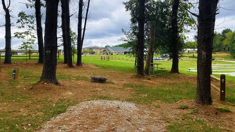 Oakie's Circle / Single Tent Site — image 2 of 3