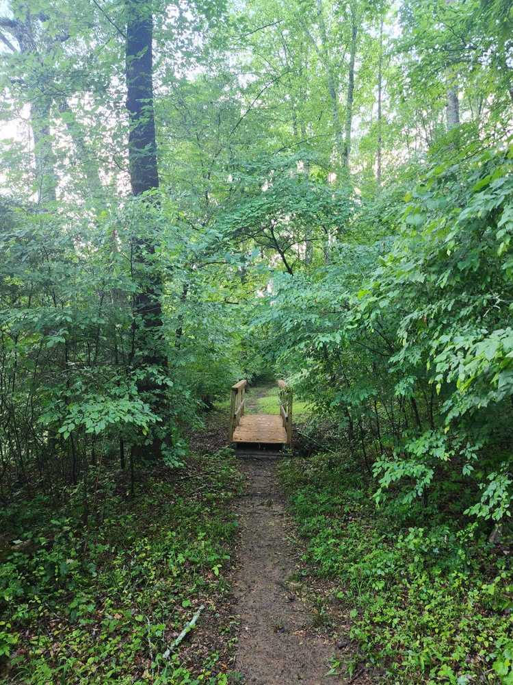 Park Image 10