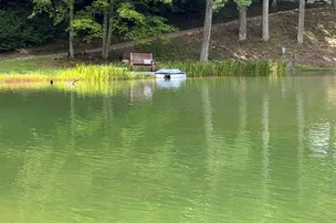 Camp Holly – photo 2