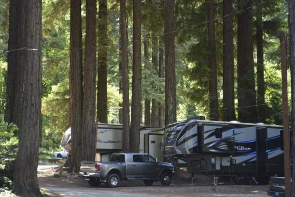 Park Image 9