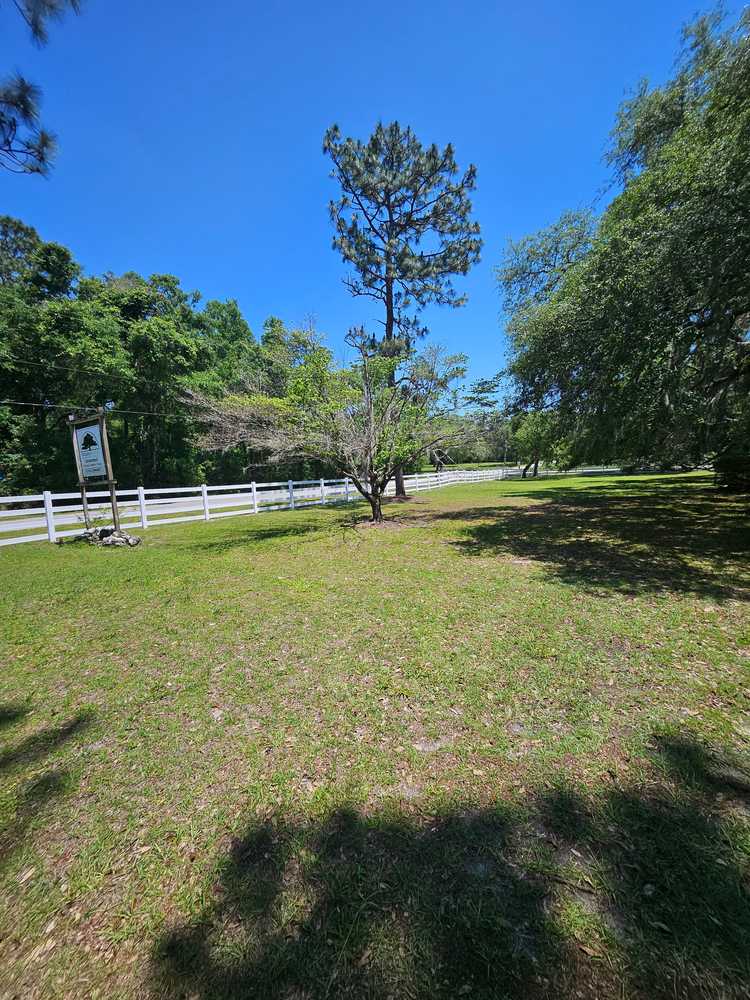 Manatee Springs RV Park, Chiefland, Florida - Photo 3