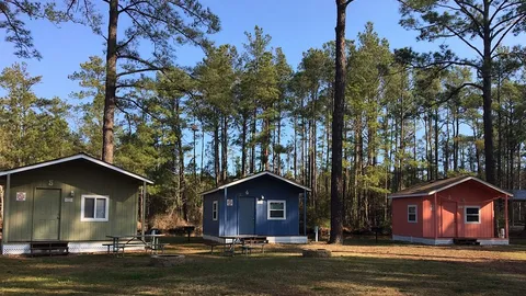 Large Cabin - NO PETS ALLOWED — image 1 of 6