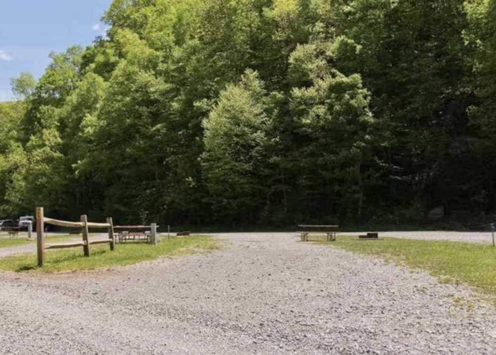 Maple View - Main Photo