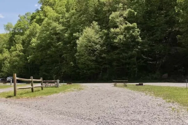 Maple View – photo 1