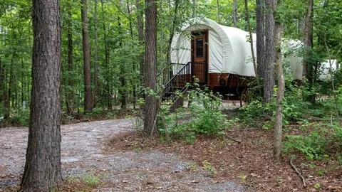 Covered Wagon — image 1 of 5