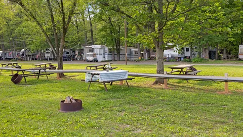 Sunny Tent Site — image 1 of 2