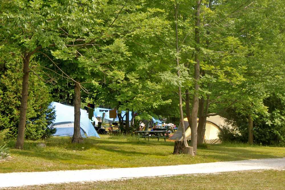 Prime Tent Site