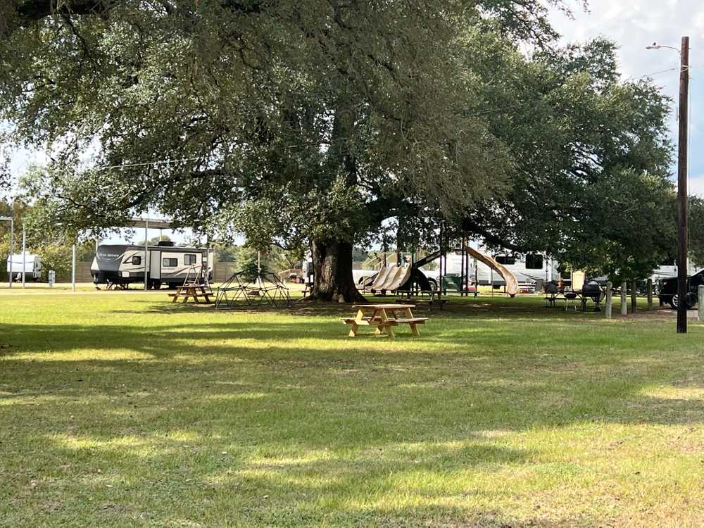 Rolling by the Dozen RV Park - Photo 3