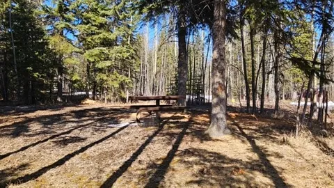 Treed Site(Non-Power) — image 2 of 13