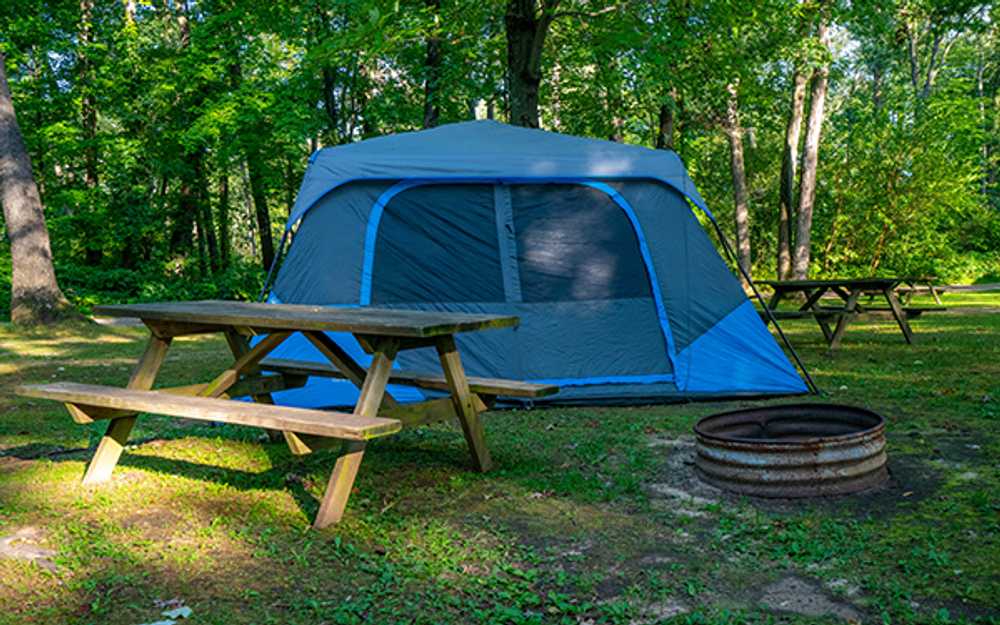 No- Hook Up (Tent Site) (C)