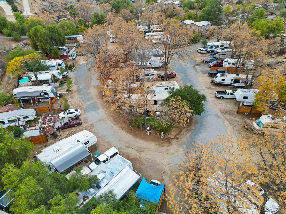 Palm View RV Resort - Photo 3