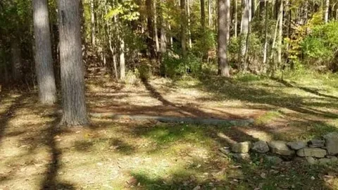 Transient, East Campsite — image 2 of 3