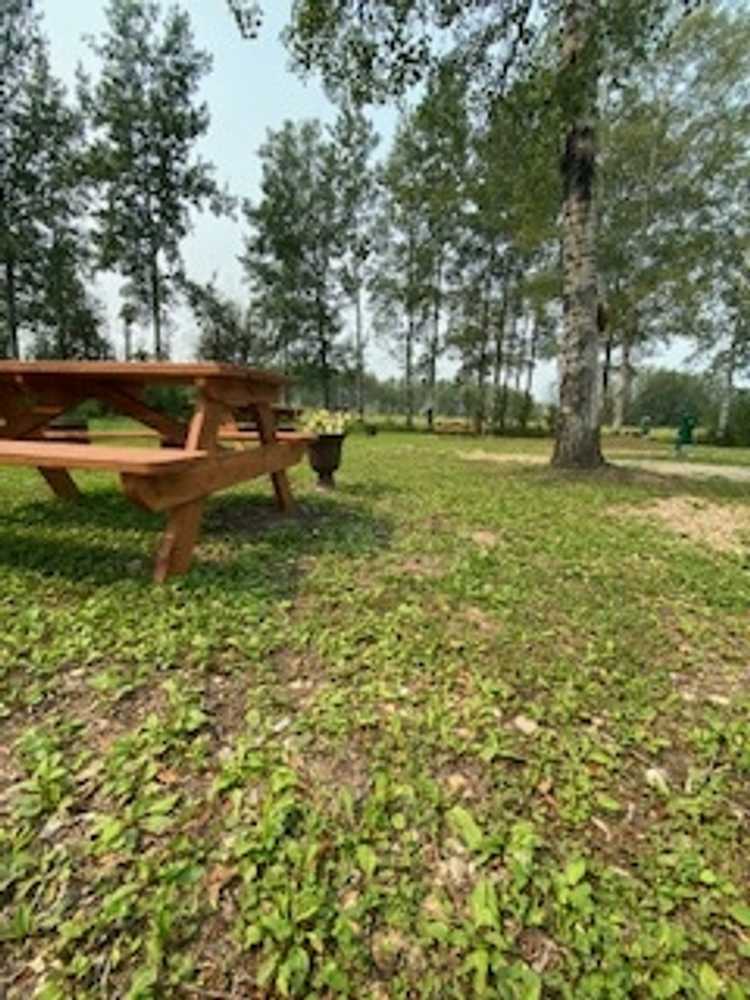 Brooke's Creek Ltd., Whitecourt, Alberta - Photo 2