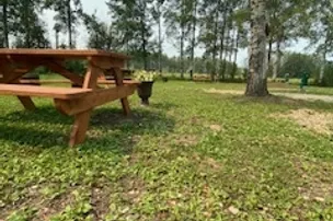 Brooke's Creek Ltd. – photo 2