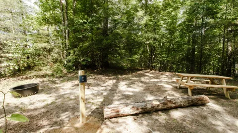 Primitive Tent — image 2 of 13