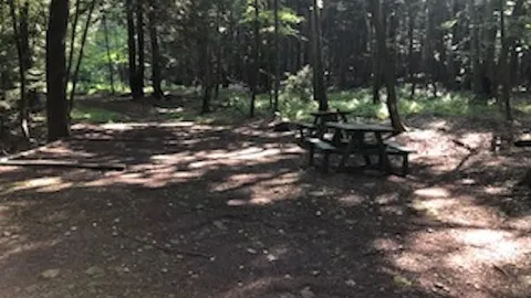 Electric Tent Site — image 1 of 1