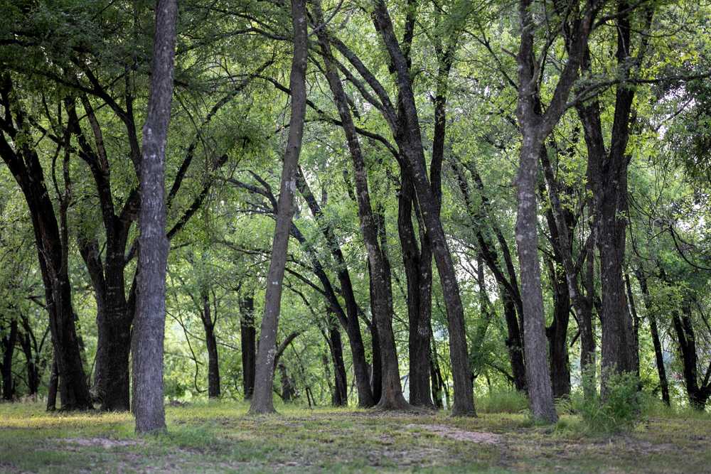 Park Image 5