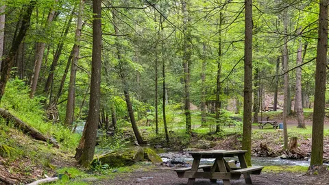 Creekside Rustic Tent — image 4 of 4