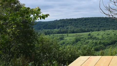 Premium RV Site — image 7 of 7