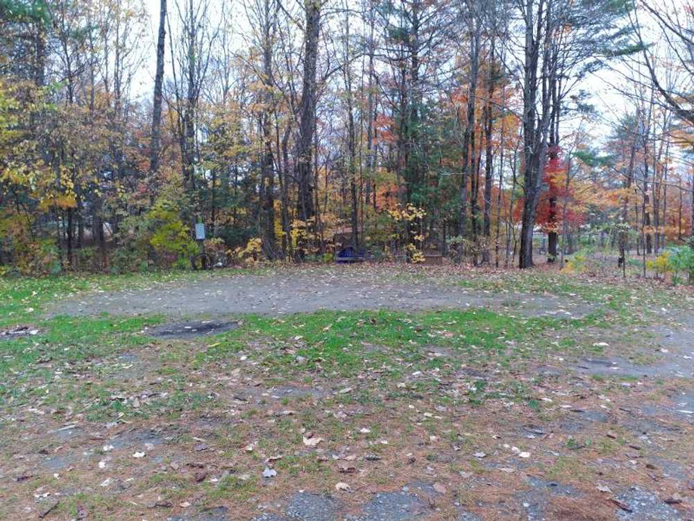 Transient Back-In RV Site (50AMP)