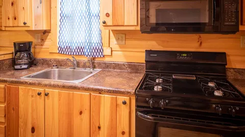 Pine Forest Cabin — image 2 of 23