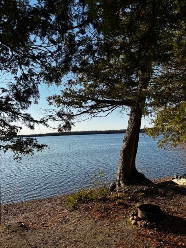 The Woods on WildGoose Lake, Geraldton, Ontario - Photo 4