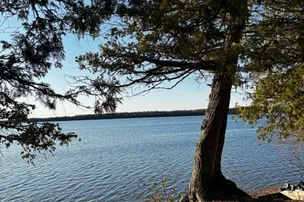 The Woods on WildGoose Lake – photo 4