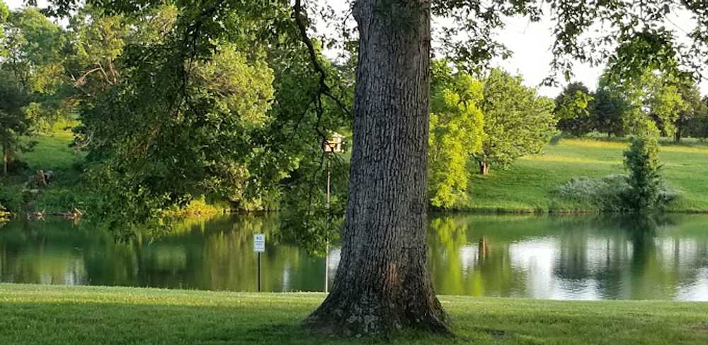 Little Patch of Heaven Campground