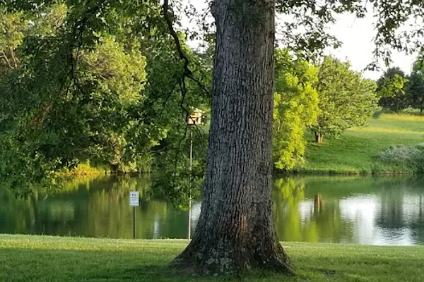 Little Patch of Heaven Campground – photo 1