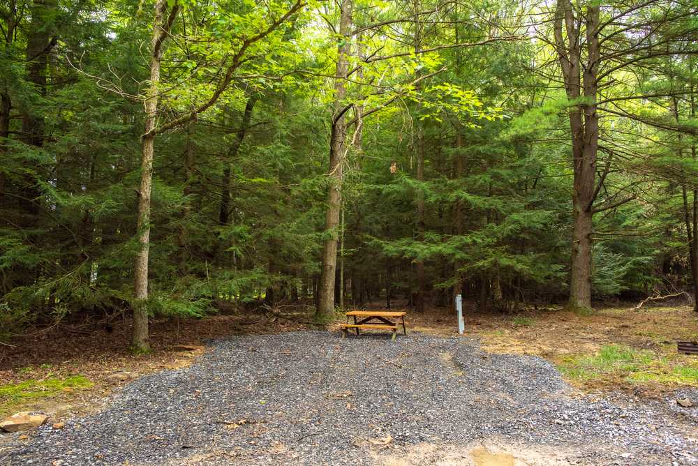 Colors of the Forest RV Resort & Campground, Clarington, Pennsylvania - Photo 5