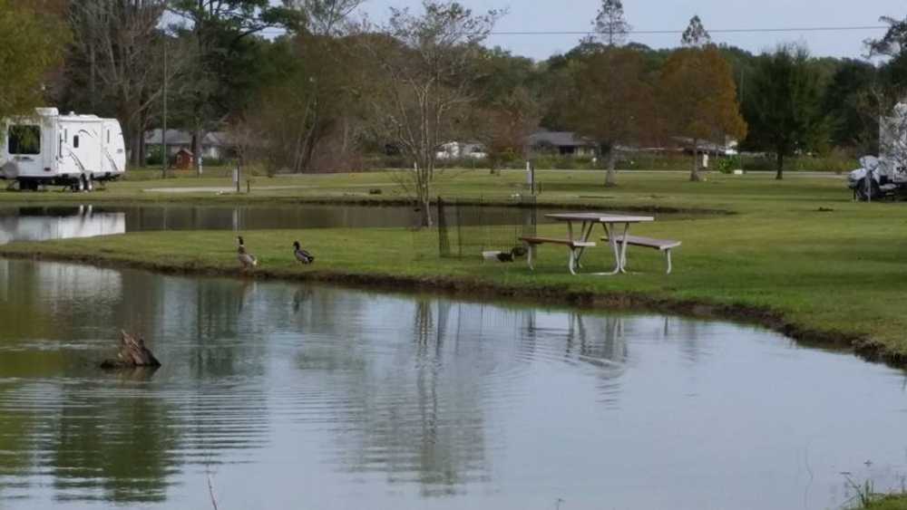 Bayou Black RV Park, Gibson, Louisiana - Photo 2