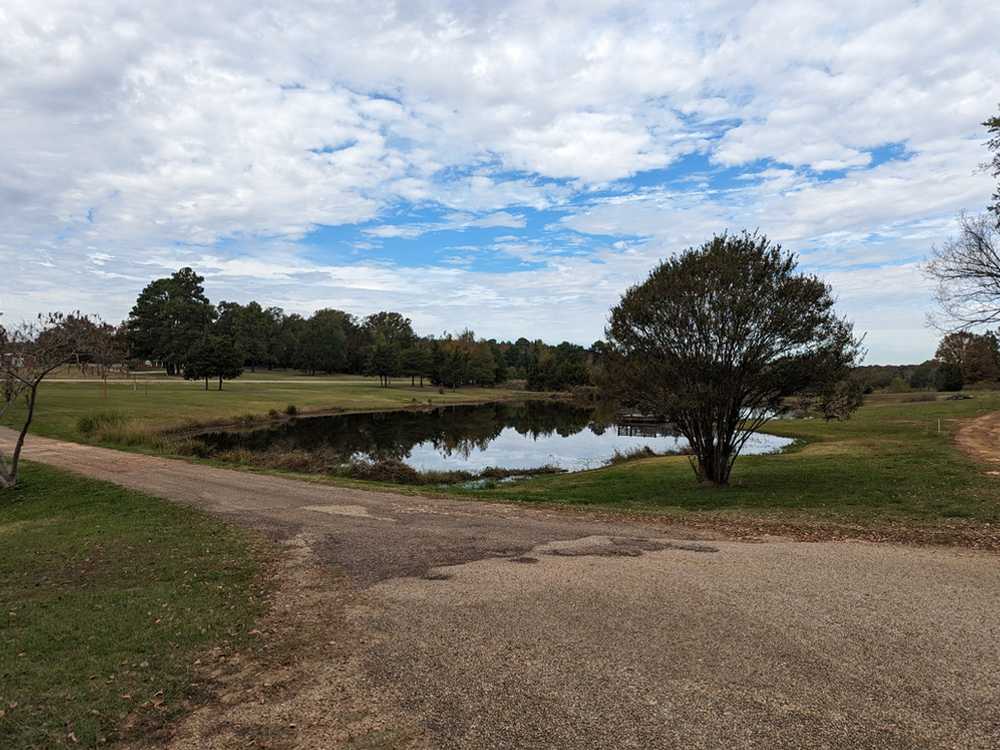 Lucky Buck's Lodge & RV Park, Omaha, Texas - Photo 5