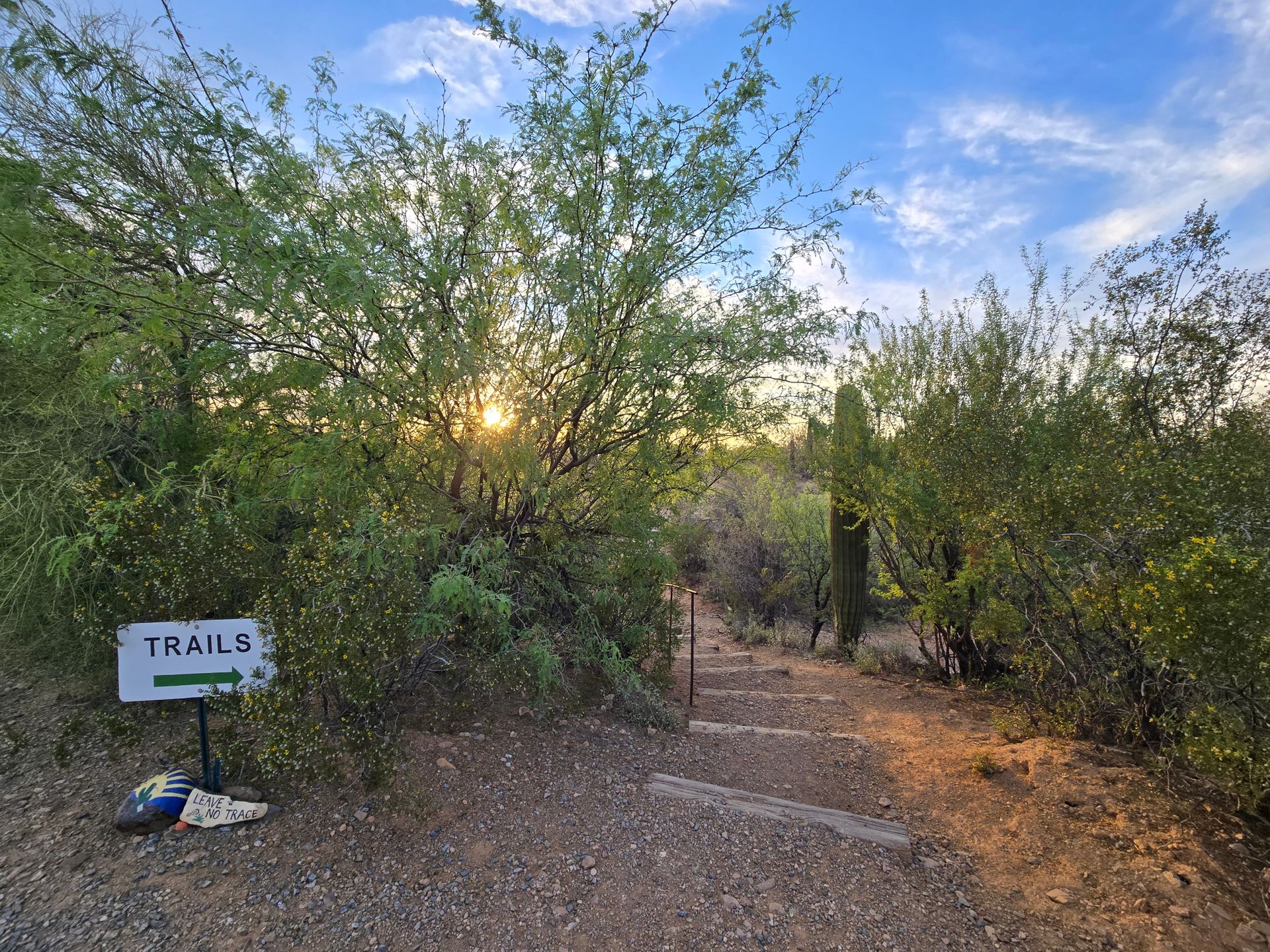 Desert Trails RV Resort (Age Restricted 40+)