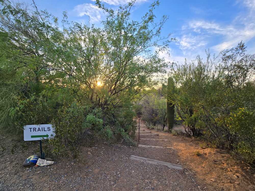 Desert Trails RV Resort (Age Restricted 40+) - Main Photo