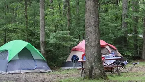 Primitive Tent — image 1 of 3