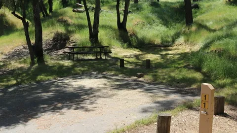 Riverview Non-Premium 8 Person Site — image 1 of 1