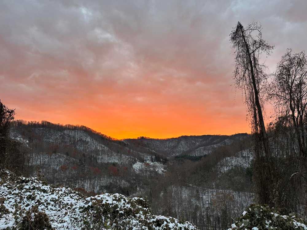 Park Image 5